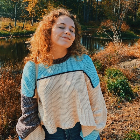 Urban Outfitters Sweaters - Urban Outfitters colorblock cropped crew neck chenille sweater